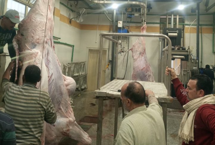 بتكلفة 28 مليون جنيه.. بدء التشغيل التجريبي لمجزر قنا العمومي